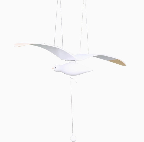 The seagulls that stay in the wind, who are they, quietly watching you in the busy world, pure white, flying,No music